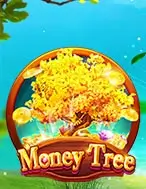 Slots-Money-Tree